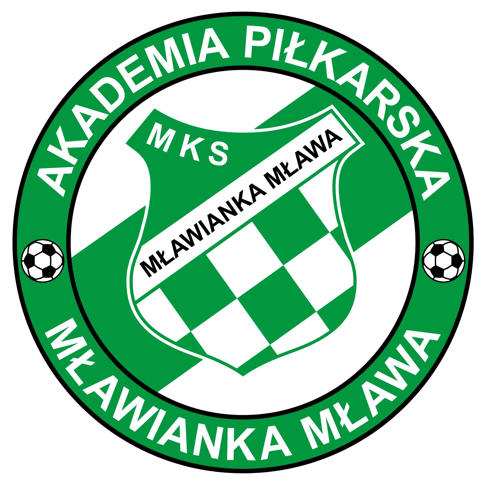 Team 2017 Zielona